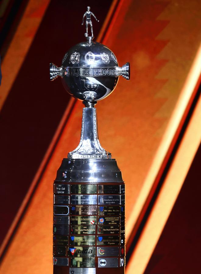 Imagen La ansiada Copa Libertadores