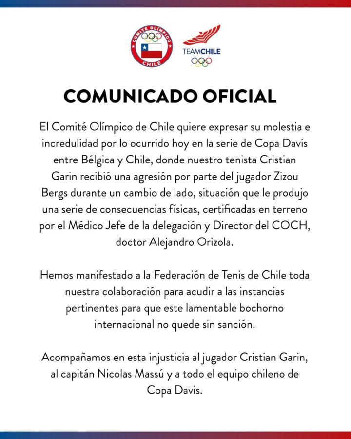 Imagen El comunicado oficial del Comité Olímpico chileno