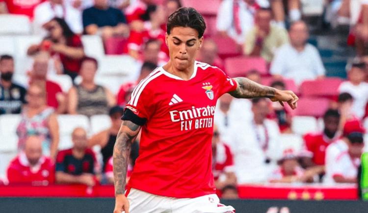 Imagen de Benfica pierde a una de sus figuras de Argentina por una lesión de rodilla que requerirá cirugía